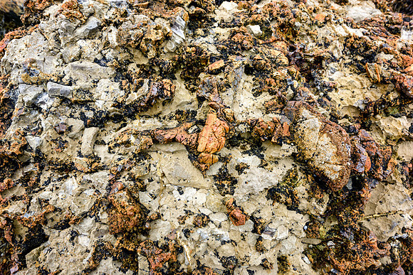 20150727_Newfoundland_0021