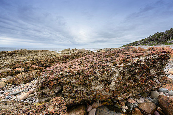 20150727_Newfoundland_0023