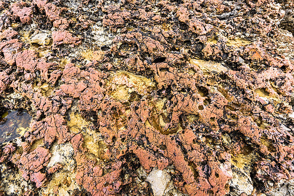 20150727_Portfolio Photos_0012