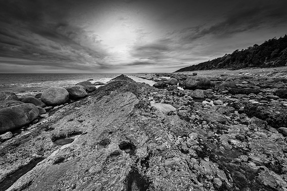 20150727_Newfoundland_0025
