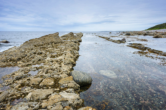 20150727_Newfoundland_0030