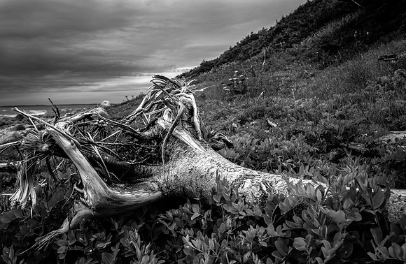 20150727_Portfolio Photos_0001