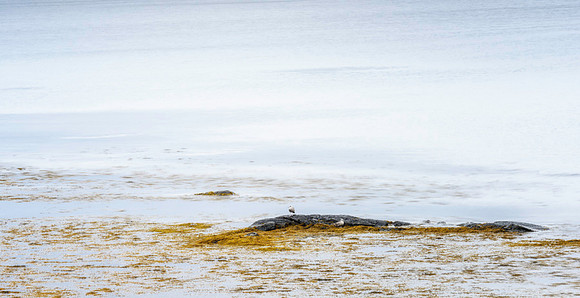 20150728_Newfoundland_0001