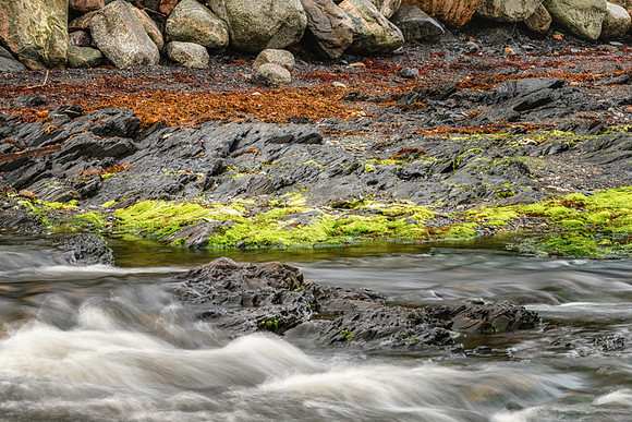 20150728_Newfoundland_0006