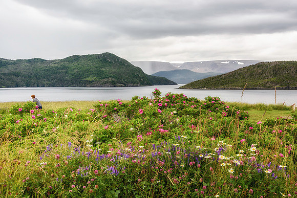 20150728_Newfoundland_0014