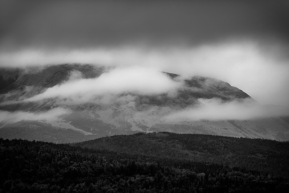 20150730_Newfoundland_0009