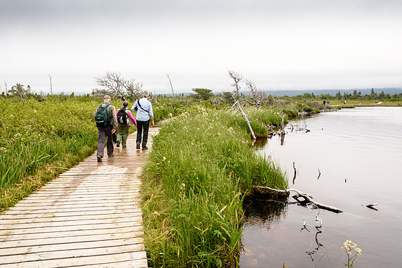 20150730_Newfoundland_0014