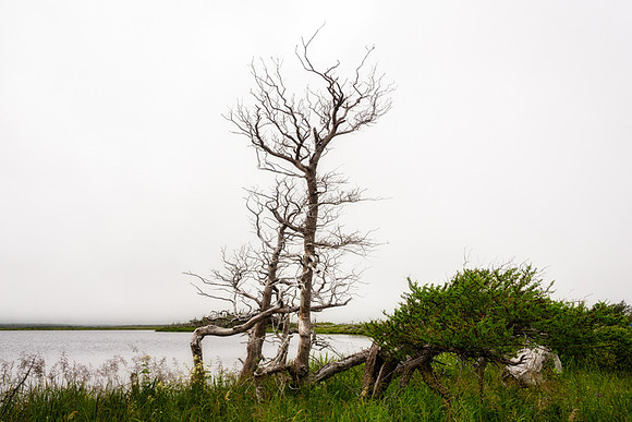 20150730_Newfoundland_0015