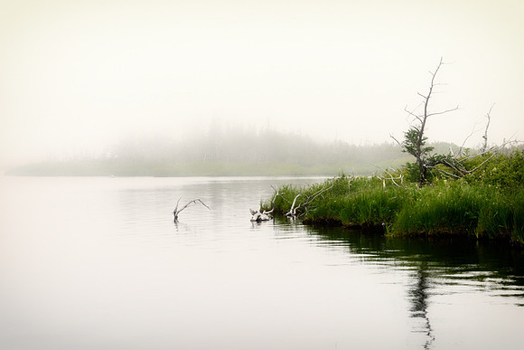 20150730_Newfoundland_0018