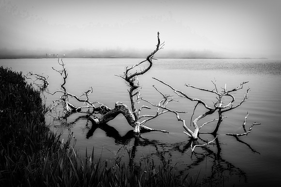20150730_Newfoundland_0019