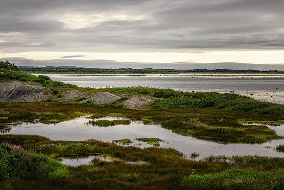 20150730_Newfoundland_0020
