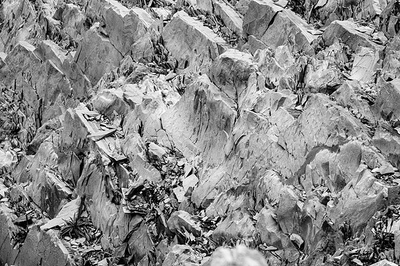 20150730_Newfoundland_0025