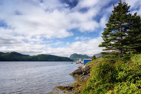 20150731_Newfoundland_0015