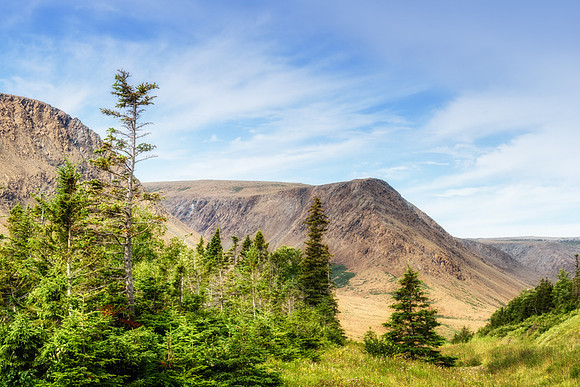 20150731_Newfoundland_0021