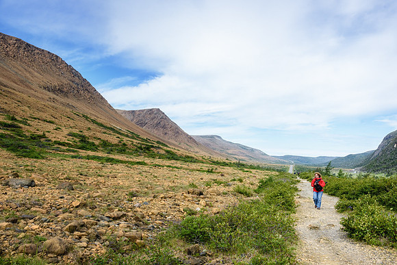20150731_Newfoundland_0024