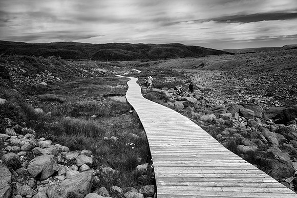 20150731_Newfoundland_0030