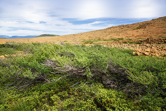 20150731_Newfoundland_0036