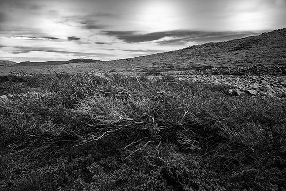 20150731_Newfoundland_0037