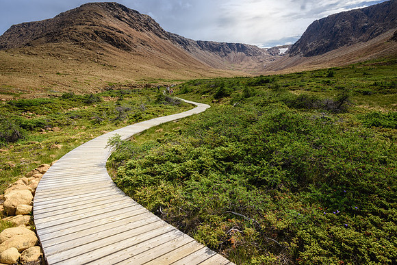 20150731_Newfoundland_0043