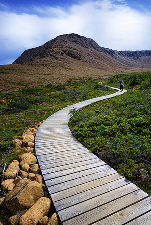 20150731_Newfoundland_0044