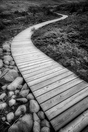 20150731_Portfolio Photos_0122