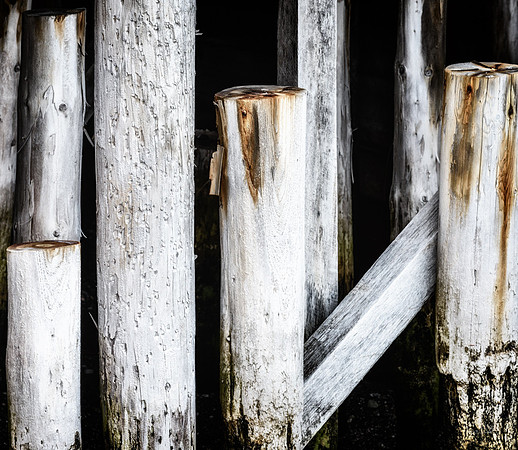 20150731_Newfoundland_0048