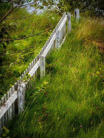 20150731_Newfoundland_0052
