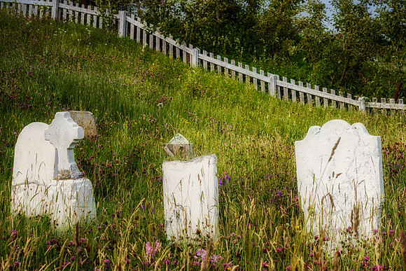 20150731_Newfoundland_0053