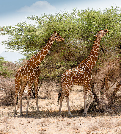 20130908_Kenya_0001-8