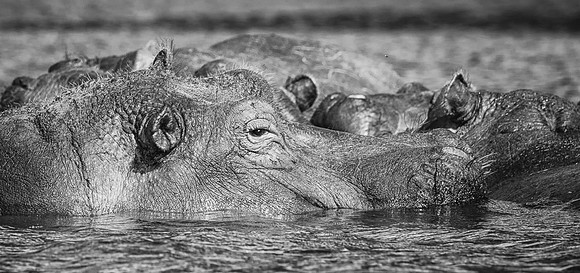 20130912_Kenya_0001-3
