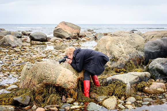 20150729_Newfoundland_0001