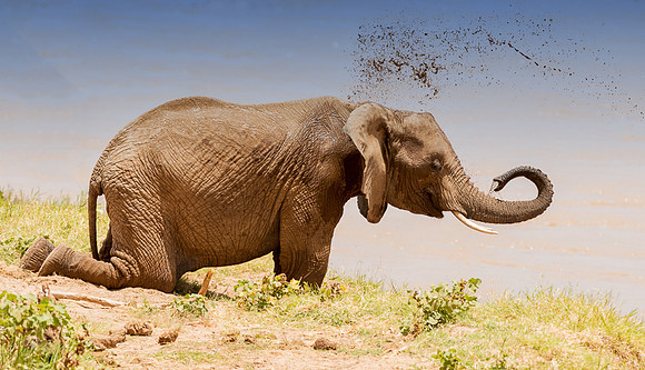 20130909_Kenya_0029
