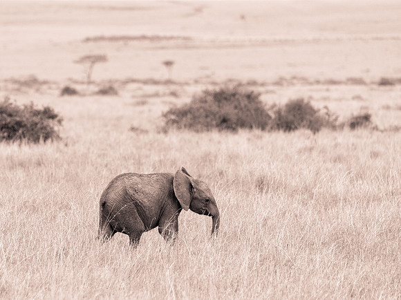 20130919_Kenya_0055