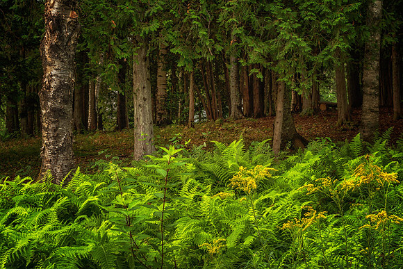 20140821_France_0001