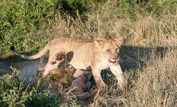 20130913_Kenya_0010-4
