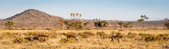 20130909_Kenya_0004