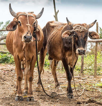 20140130_cuba_0452-2-2