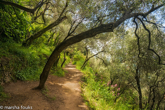 20130530_2013_may_italy_0015