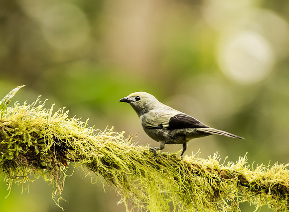 20150107_Ecuador_0009