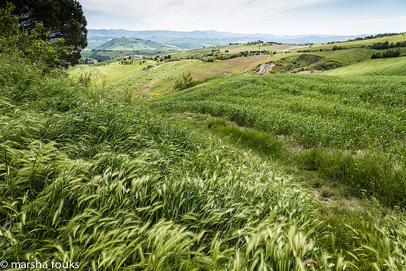 20130522_tuscany_0091-Edit-Edit