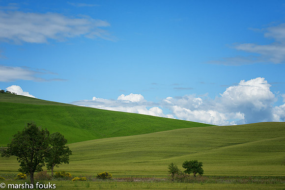 20130526_2013_may_italy_0005