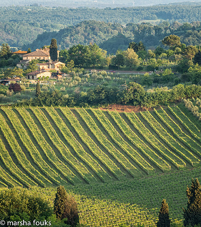 20130523_tuscany_0094-Edit-Edit