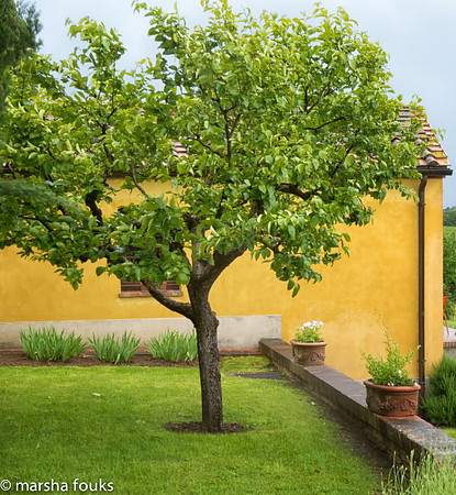 20130525_2013_may_italy_0014