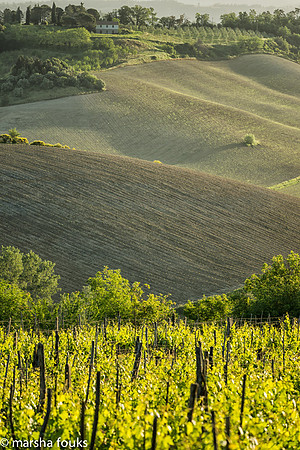 20130524_tuscany_0589-Edit-Edit