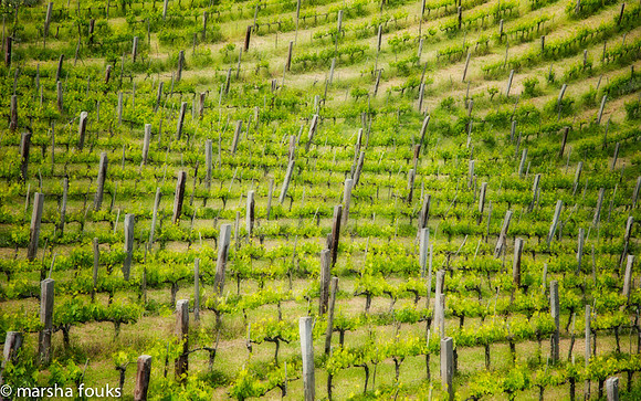 20130527_2013_may_italy_0025