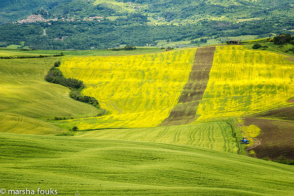 20130526_2013_may_italy_0018