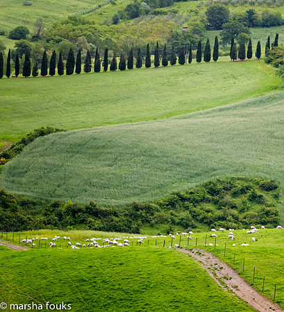 20130525_2013_may_italy_0046