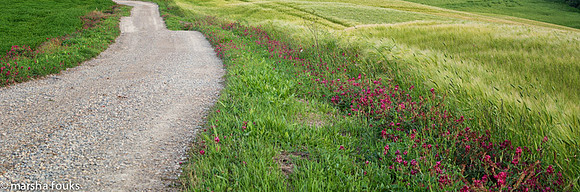 20130524_tuscany_0271-Edit