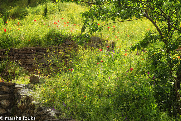 20130529_2013_may_italy_0012