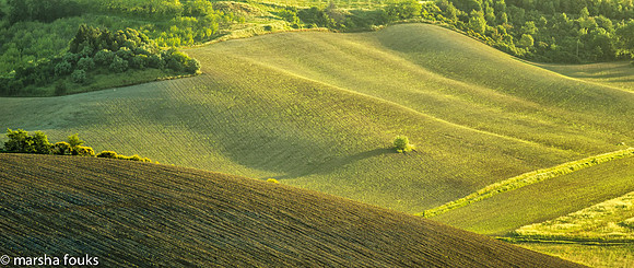 20130524_tuscany_0602-Edit-Edit